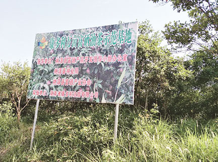 乐天堂·fun88(中国区) - 官方网站