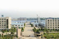 乐天堂fun88,油茶种植出产加工销售,植物油种植出产加工销售