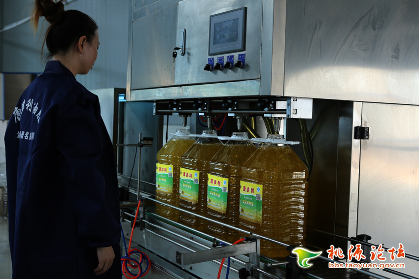 乐天堂fun88,油茶种植出产加工销售,植物油种植出产加工销售