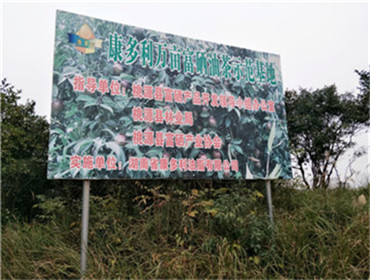 乐天堂fun88,油茶种植出产加工销售,植物油种植出产加工销售